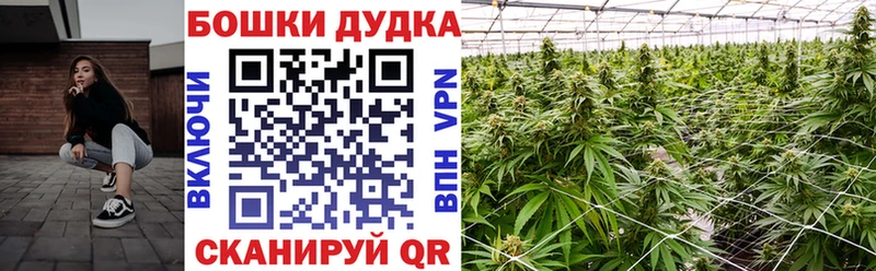 закладки  Вельск  Марихуана Amnesia 